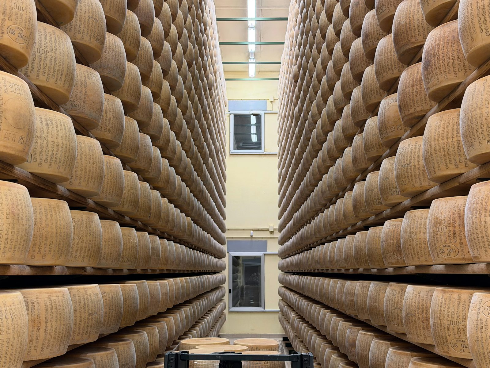 Food Packaging Line Hygienic Conveyor System